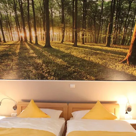 Ripken Hotel 3*